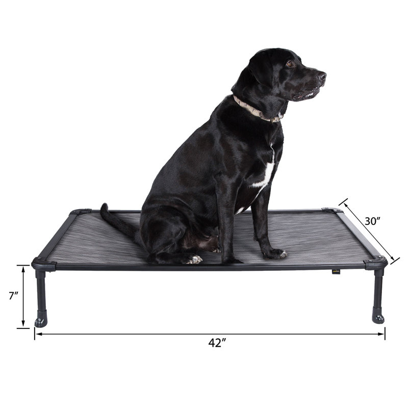 Tucker Murphy Pet Chew Proof Elevated Dog Bed Cooling Raised Pet Cot